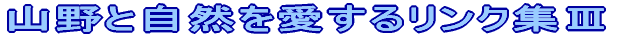�R��Ǝ��R�������郊���N�W�V